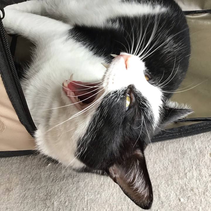 F429abfb e840 42a0 8aeb 34c49c691c03 1719723466799