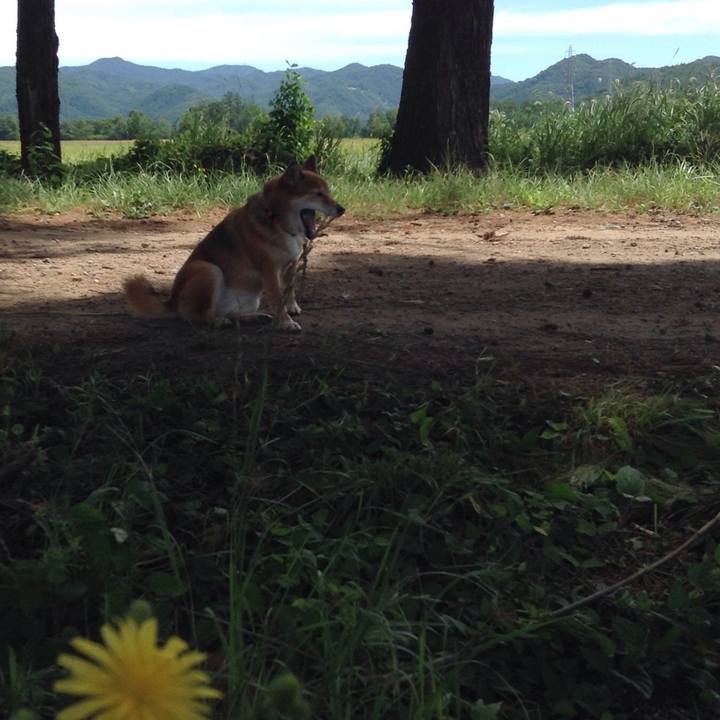 F429de0b 0391 4bc0 9ed9 7887f59747f4 1534569649854