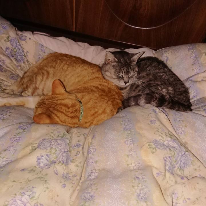 F429ebaf 268d 492e b8cb 40dbff5fdd60 1583331097330