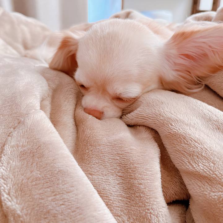 F429f17a 512e 48d3 a02d 592c17744012 1664172172765