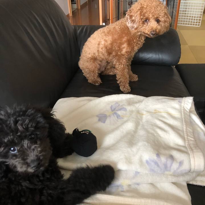 F42a29c6 e56c 43dd bb66 47150acca0f9 1612705091721