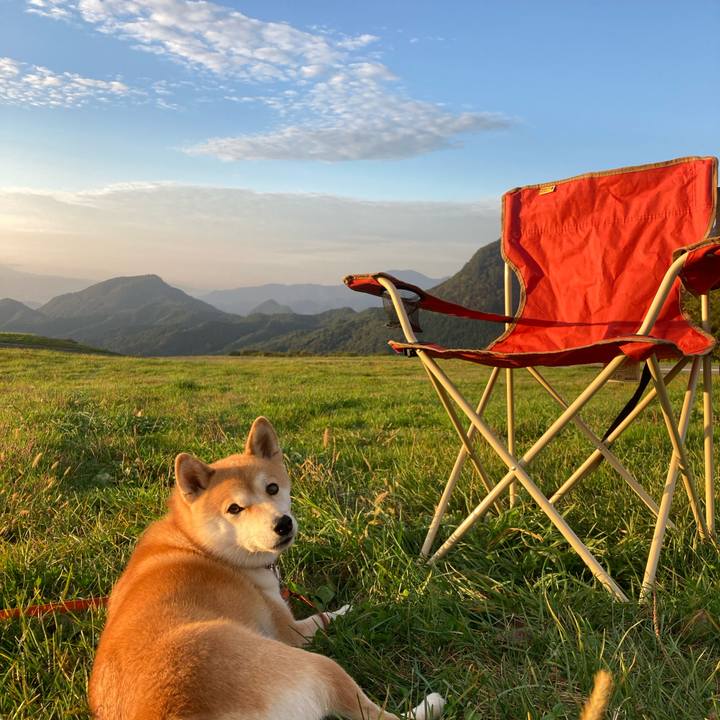 F42a9108 7bce 4bbb bdab f1ae2ac27937 1665905580924