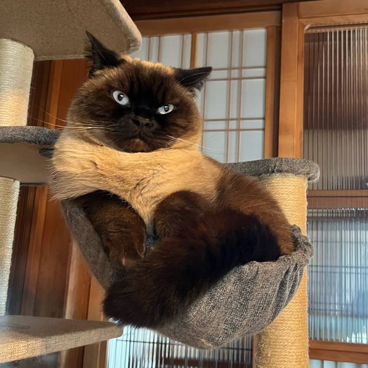 F42abd78 ed98 4b92 838a c1e402a687bc 1677894281644