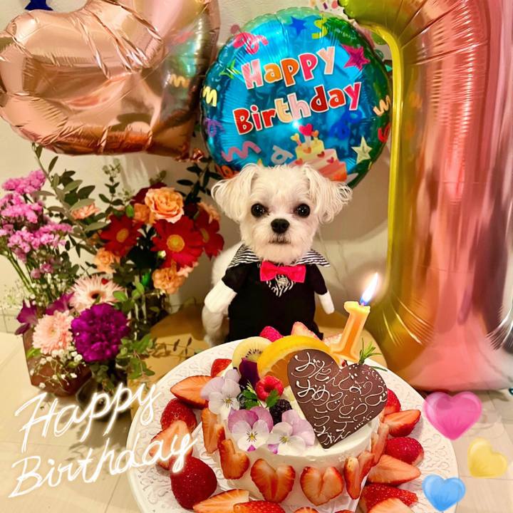 F42af918 eac1 4942 8961 b975e8013dde 1651125642845