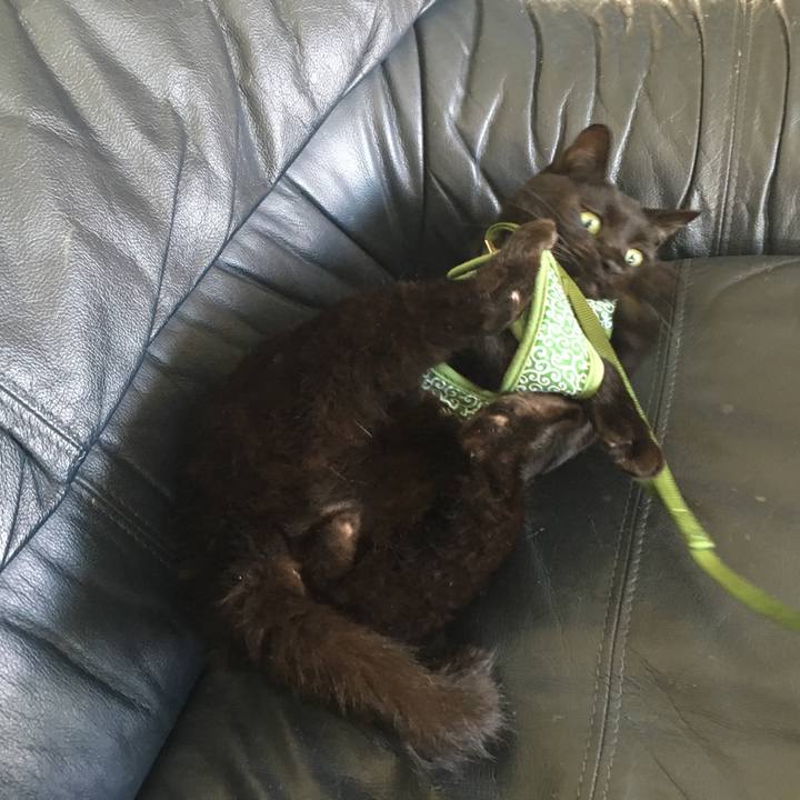 F42afb97 e3bb 43d7 ac64 43f0a3a9c588 1534039281682