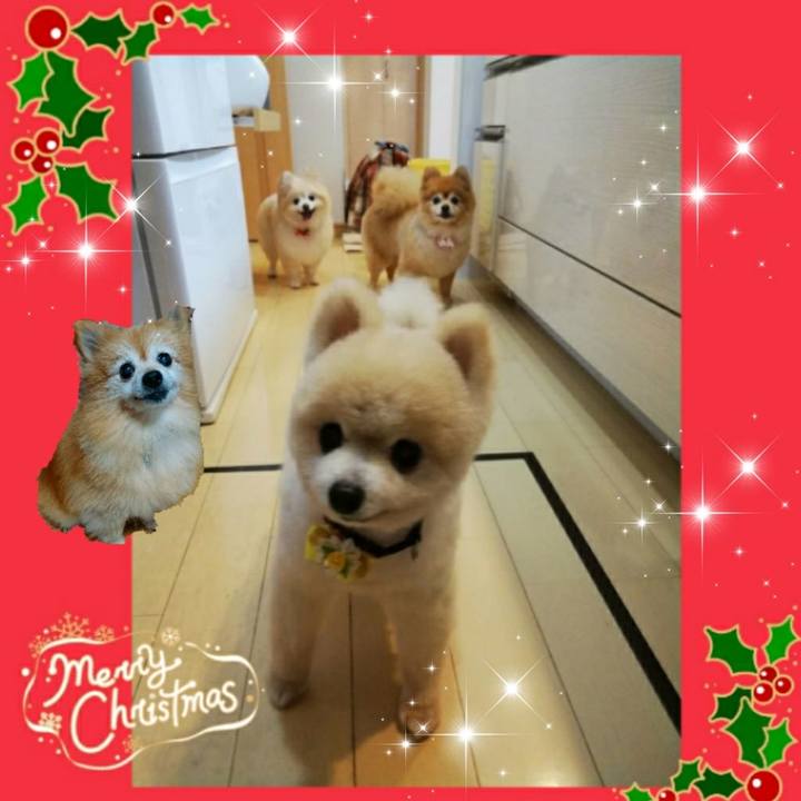 F42b0865 b0e5 4605 8ee3 cf509e381fe7 1577195511381