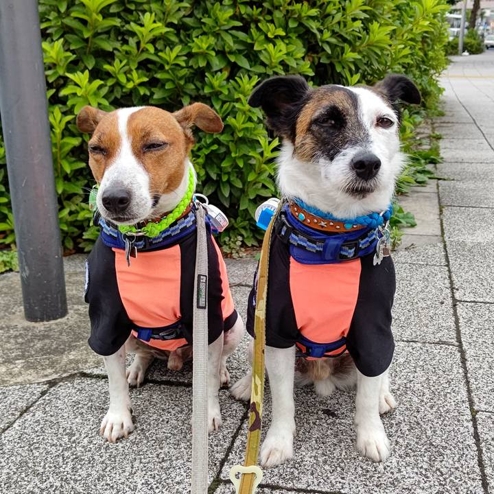 F42b3a73 6d75 45c1 a97d 550d0c11ad0a 1624573578949