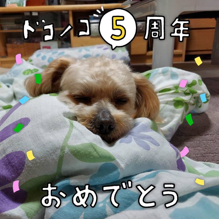 F42b45a7 7616 43db 9108 641917a4cb68 1622902500688