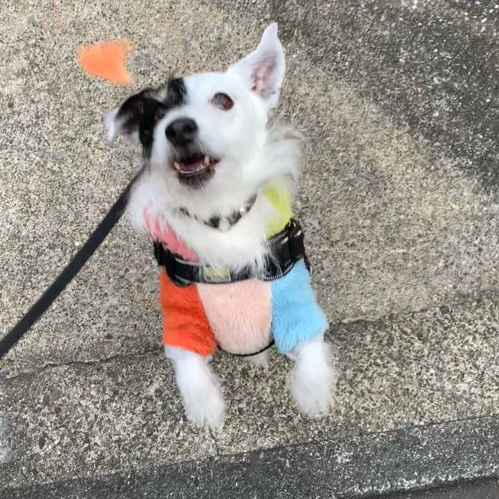 F42b479b 5e65 42cc b00f 194a8790e8a2 1737761905797