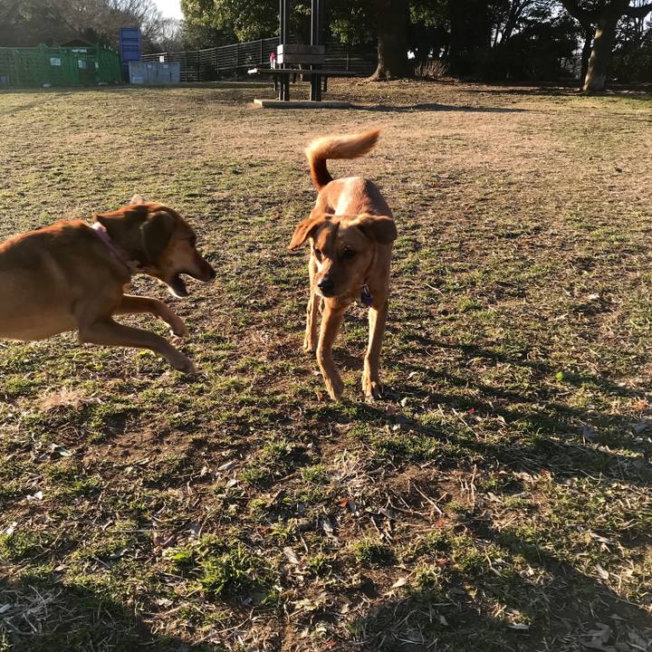 F42b74a5 f064 4d8e 8885 7501b4535837 1514157616482