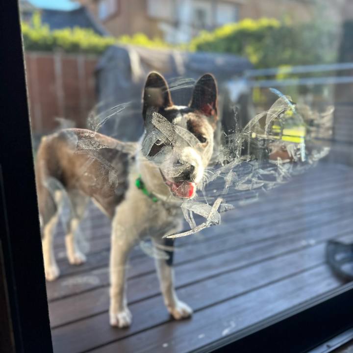 F42b83c3 f6af 4500 8daa b2876f8c1b3a 1702010979670