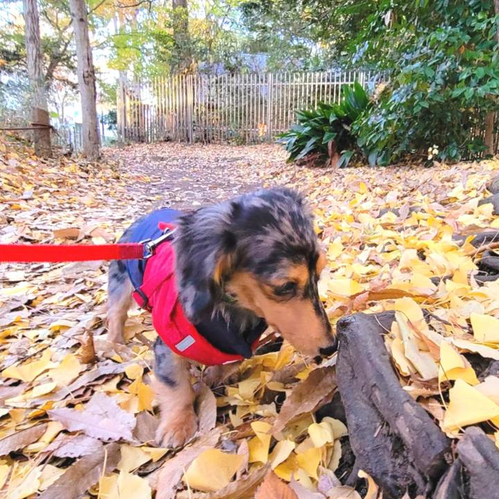 F42bb4b2 73e9 4267 b0c2 b378a37df323 1733909850099