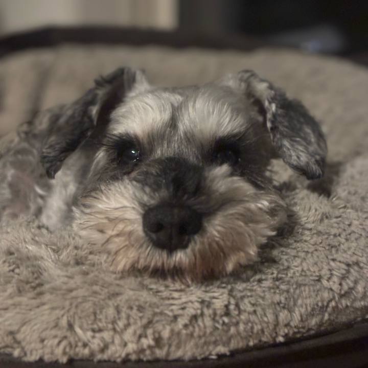 F42bcea4 b825 47cc b62b 65089167ed75 1752306879024