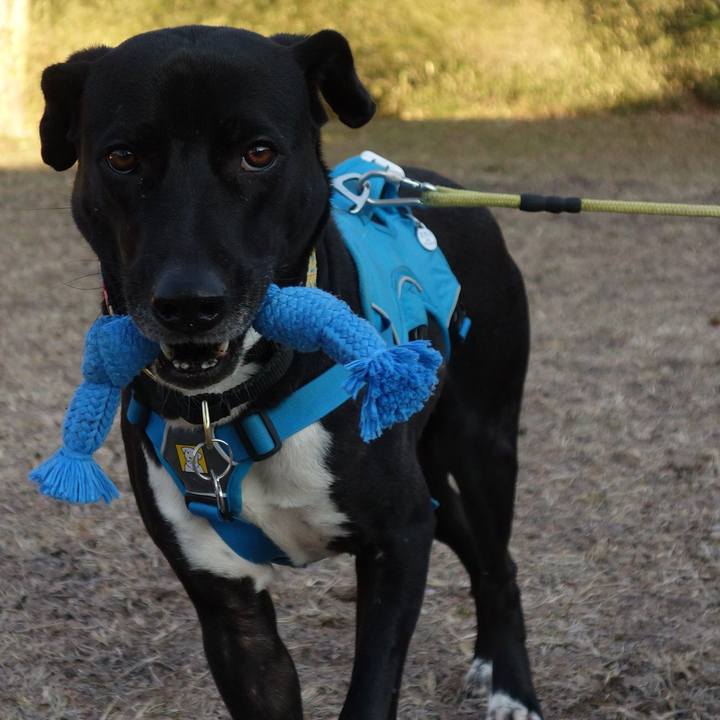 F42bda58 bd34 45b3 bbcd ef6e53b55ae4 1613693004330