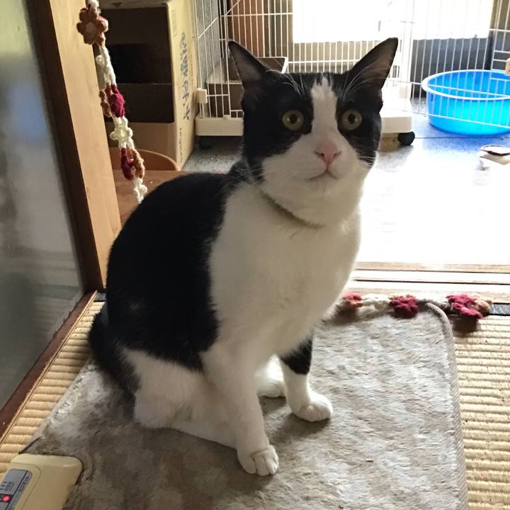 F42bdf5a 5523 4e12 a4c1 a033a71c3130 1652163261600