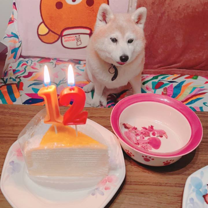 F42be25e 2810 45dd b1f9 845ac0d86f2b 1652243050464