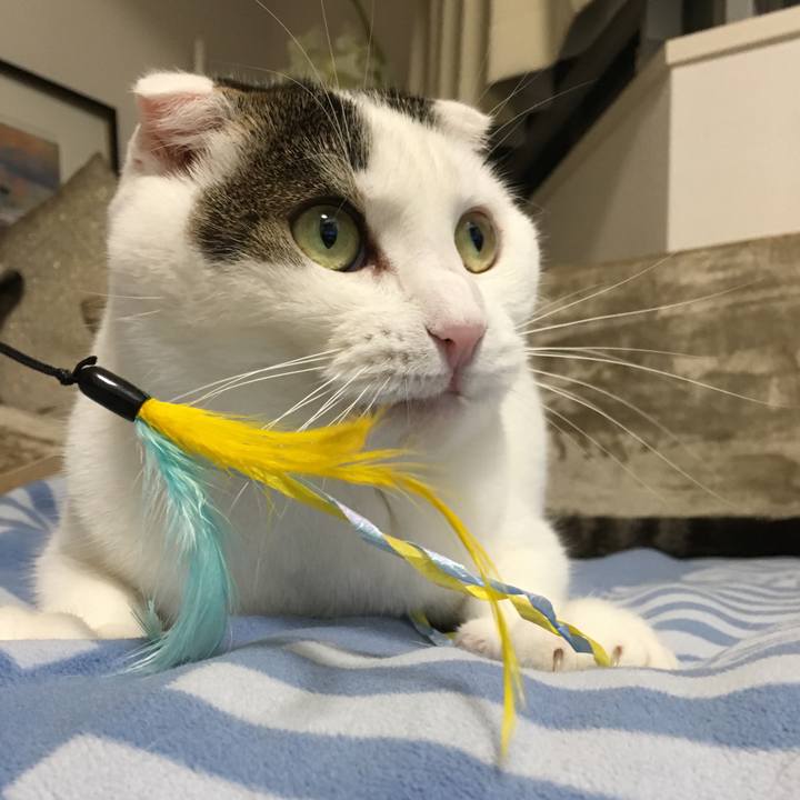 F42c0fcb 49dd 48ac a6d5 21aba61fa565 1510226719453