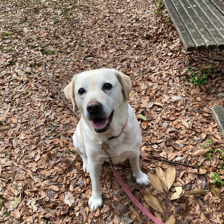 F42c4cb8 7835 49ed 93ee 3c06c1e8c9fb 1741839203461