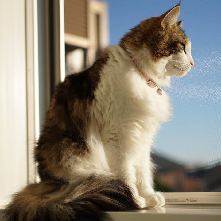 F42c6991 83b6 4017 9af0 221ad53f2308 1575012947475