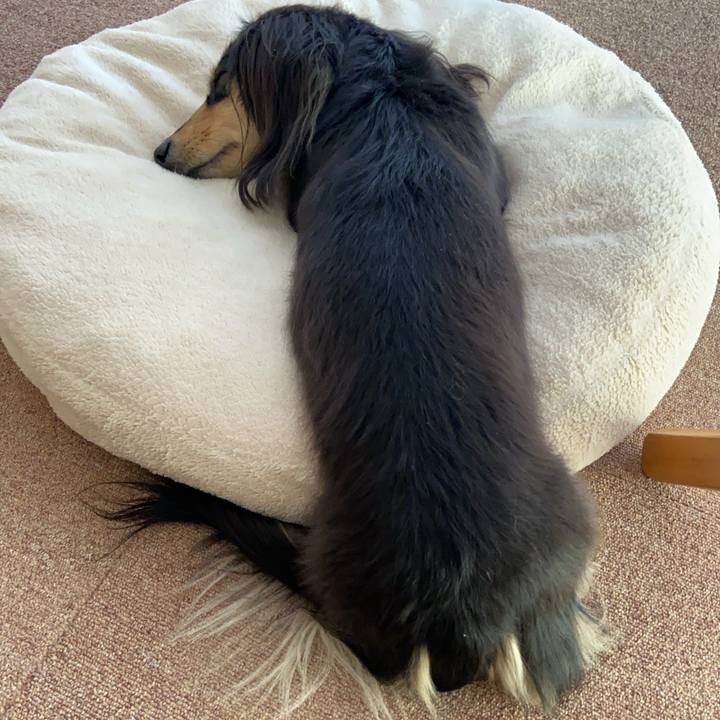 F42cbe4f cdaf 44cd a8cd 66369ac6ef3d 1739926592602