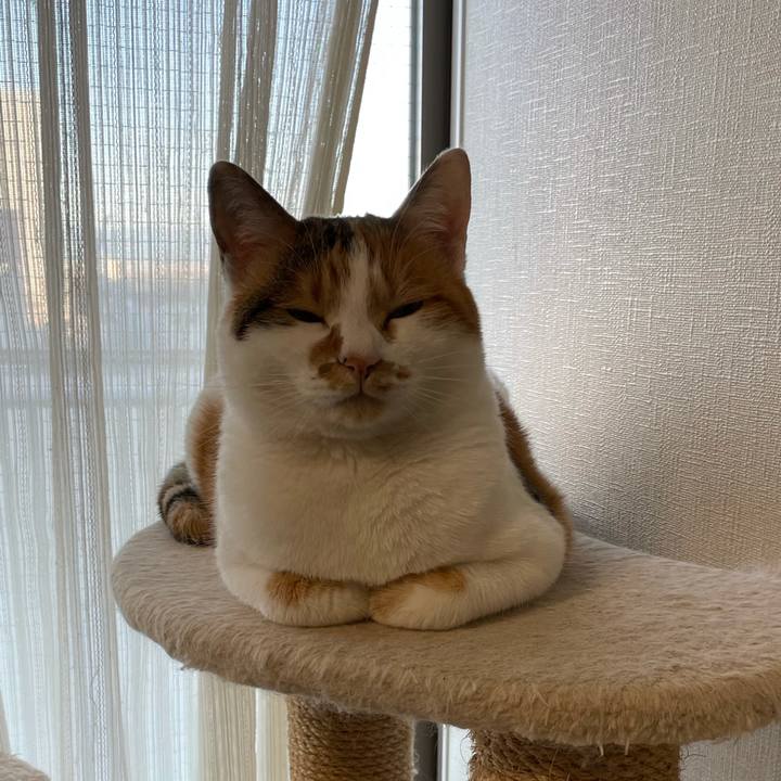 F42cc6bc 4215 4d35 a155 519af3f193c4 1608161488268