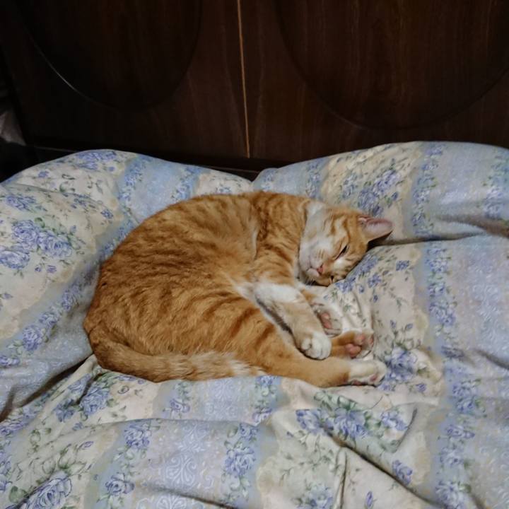 F42d14dd 665b 4abb 804a d999b57d4b85 1582548708939