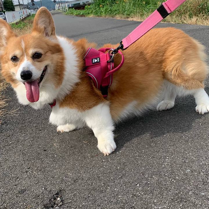 F42d21f9 ce8e 40ca 80b5 39d6f2fd243a 1720480056238