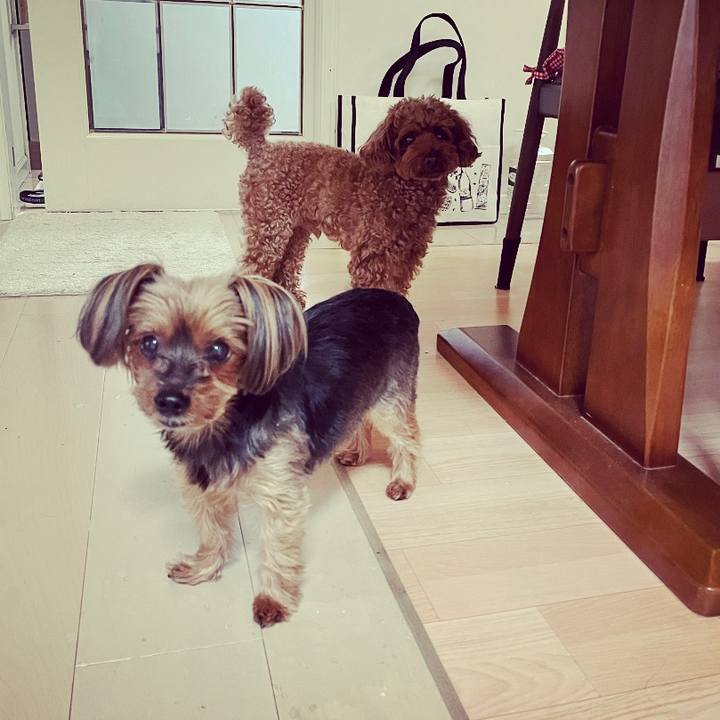 F42d3765 6553 43c9 a43e 740766898985 1683420399806