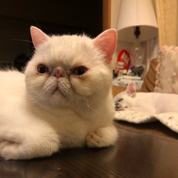 F42d3ce8 73c7 4d8b b52f 06f95f6cc4db 1632134741066