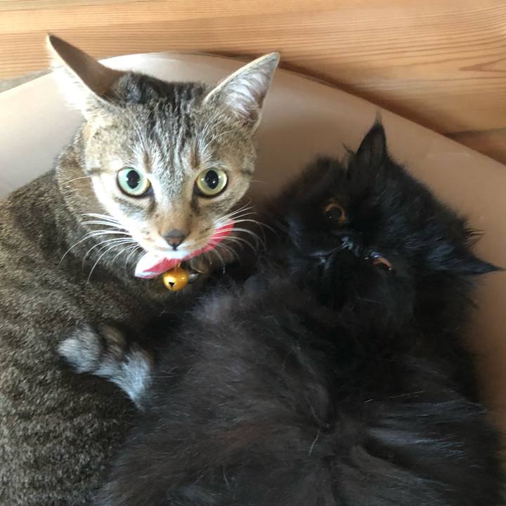 F42d4ad9 6bd6 4e8d 923f f54046f6d5ad 1639049031295