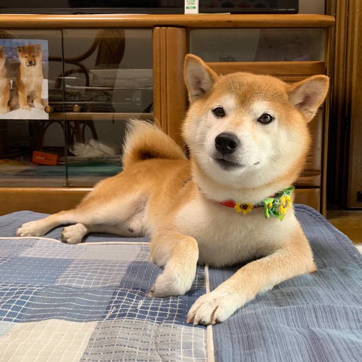 F42db650 0daf 4422 96c4 840418f1effd 1597400322288