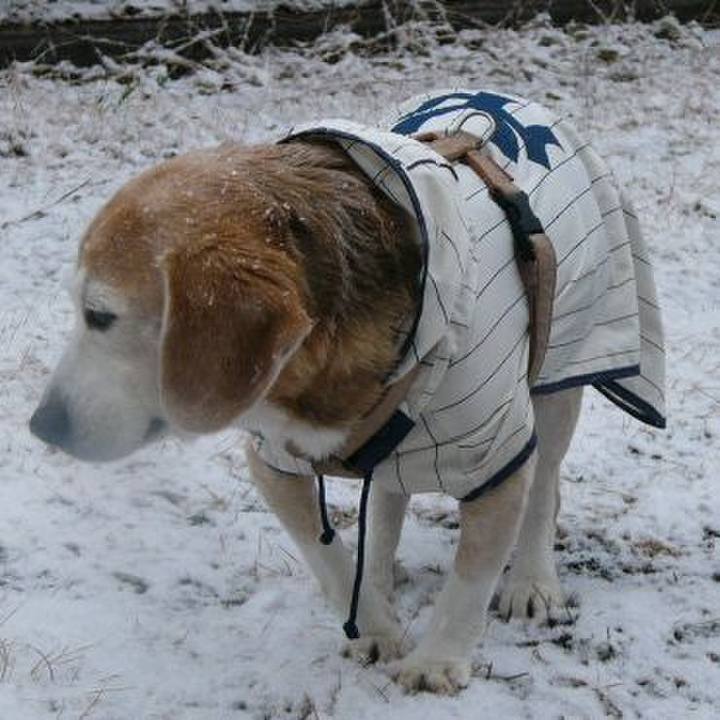 F42dbe7d cd4f 4f50 b8aa 3c5576961452 1676079075293