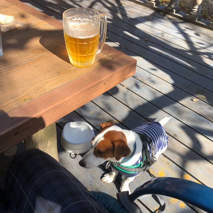 F42dbe82 eea8 41a8 adc0 2a23171b450a 1572748928284