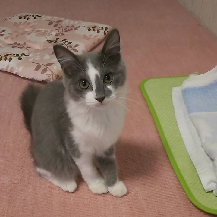 F42dc020 f07e 4f85 9fa9 0625e1f3d851 1566337717937