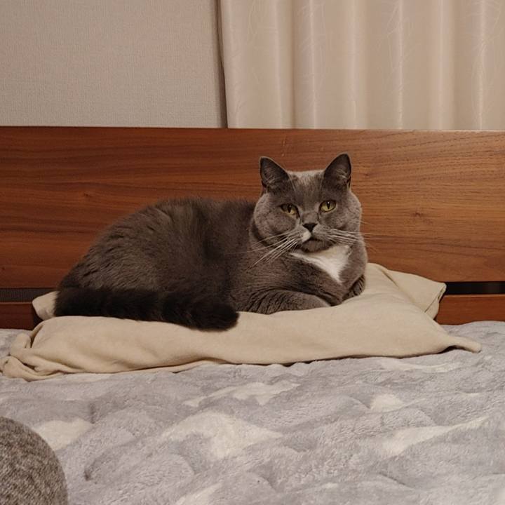 F42deecd fc7a 47ba 8045 ed0136df1ac8 1666995721598