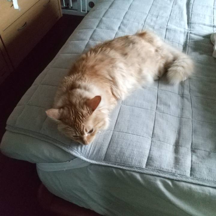 F42df3f8 7472 4e38 aeed 9269688016e6 1630385605572