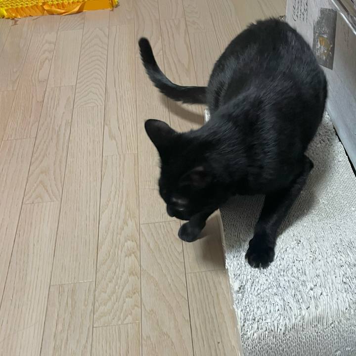 F42dfe81 1444 437b 8000 3bbeac38081c 1741352543209