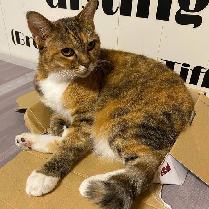 F42e737f 76ce 43a3 a79c e786e52acf9b 1629025881800