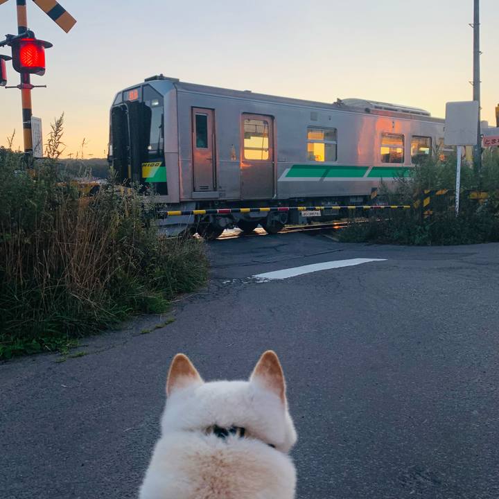 F42e8001 5128 46ff 9d0c b5c0d0e40a75 1630615527983