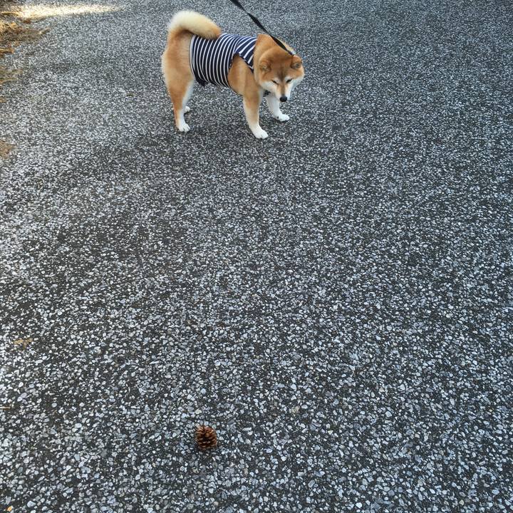 F42e9004 74a9 408c ac08 42c80d033332 1542426626886