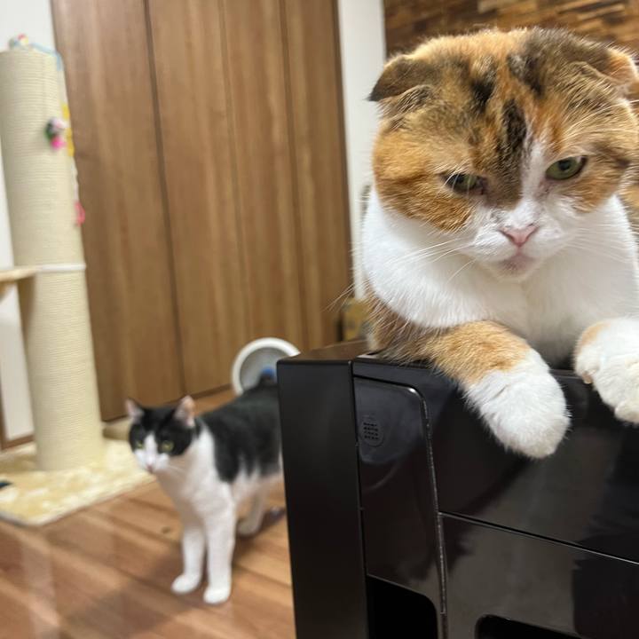 F42ea1d7 281d 4dcd 87f6 a1a345293085 1661085312008