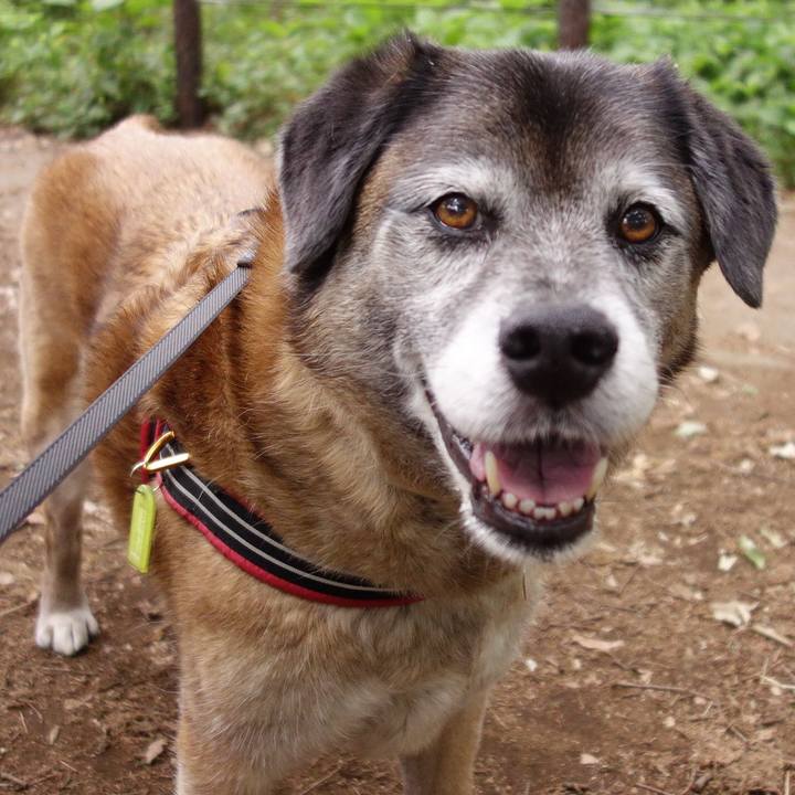 F42eacaf eb5b 4eb2 9d0f 9732bf04d5e9 1668824080605