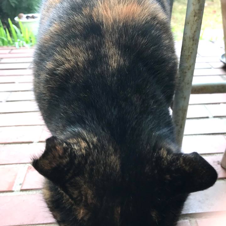 F42eafc7 3c8a 48f9 9690 4e6b0711e11b 1516259334408