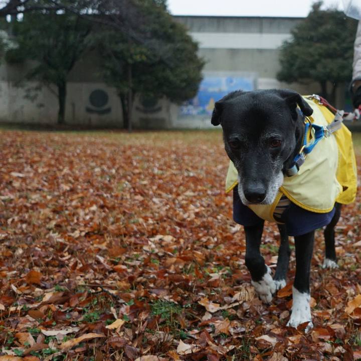 F42edc28 23eb 4ca7 a4cd e520e66b69e7 1765680102000