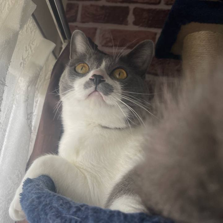 F42ee076 275f 44c1 8be5 7fba9b71c8ba 1647137332806