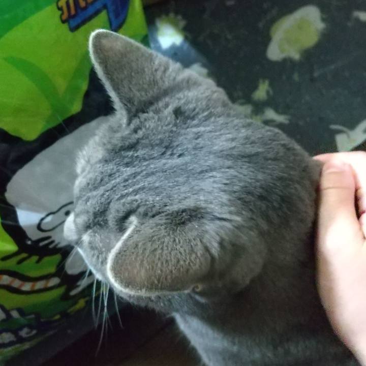 F42ee4b2 c938 438e 9629 78ed08b42507 1631106902650