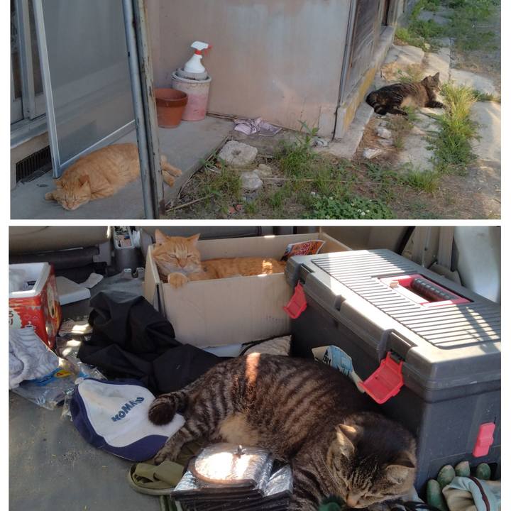 F42efcb9 ae09 47eb 821c e6017102b808 1719650314813