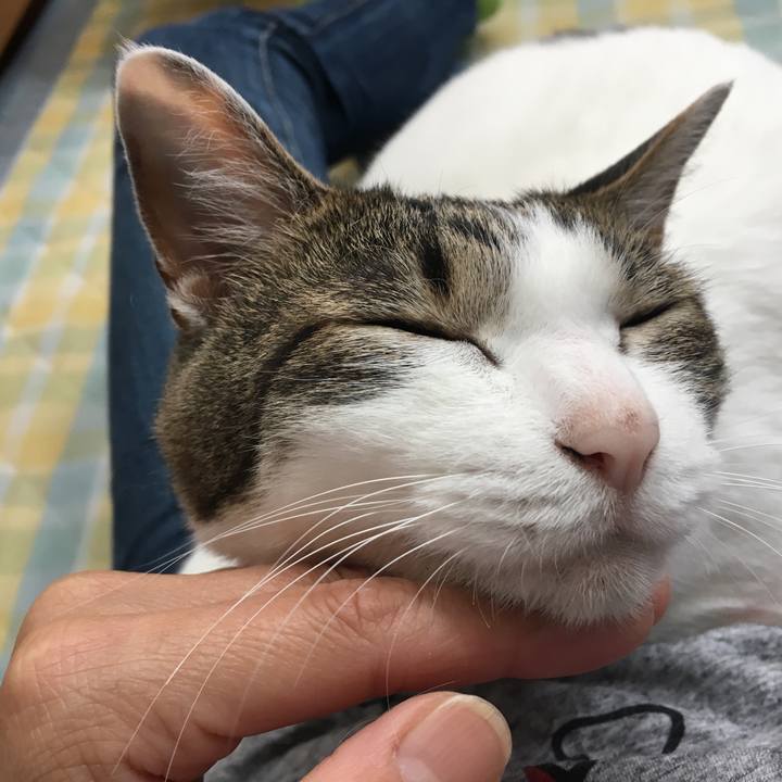 F42efd81 72d6 4f0c 8cf8 21e1b75edb75 1528687455302