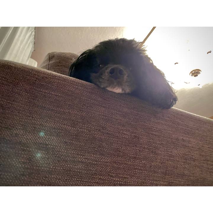 F42f1555 a189 4204 ae00 b9eb97f7cb6d 1650465868264