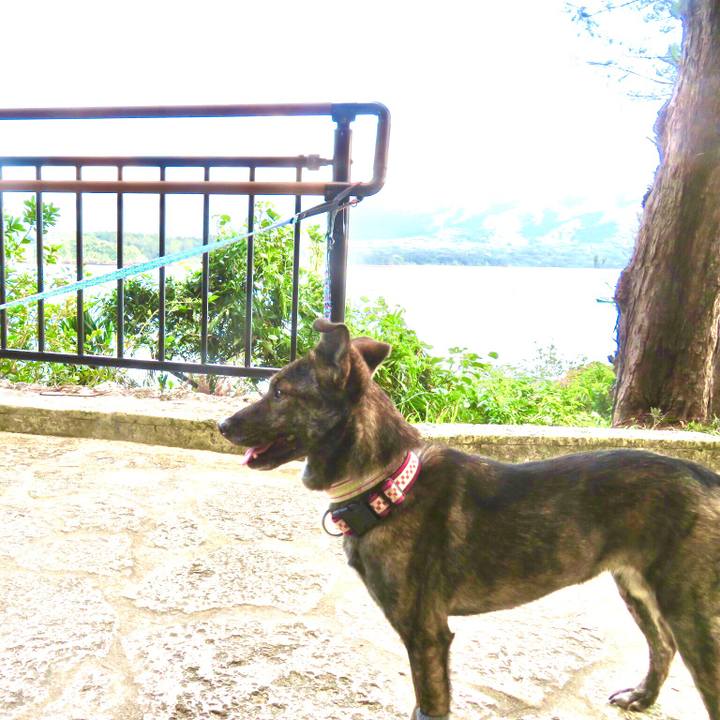 F42f1b10 bab7 481d a36e f24184027ed1 1576851211996